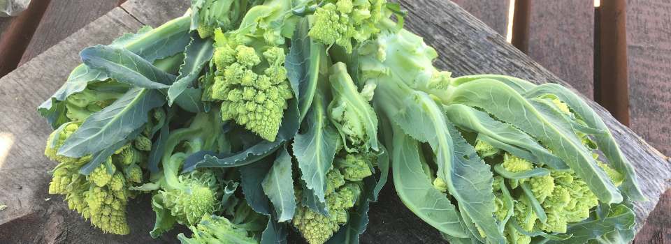 romanesco broccoli